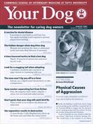 Your Dog